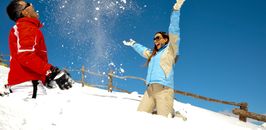 Powder snow-weeks | 02.02. - 28.02.2014